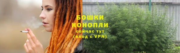 прущие грибы Бикин