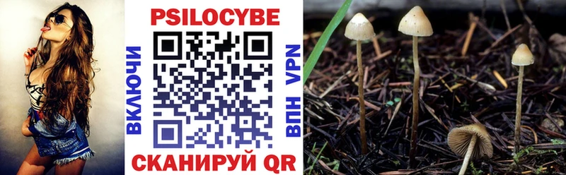 Псилоцибиновые грибы Psilocybine cubensis цены наркотик Гаврилов-Ям